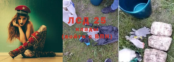 крисы Алзамай