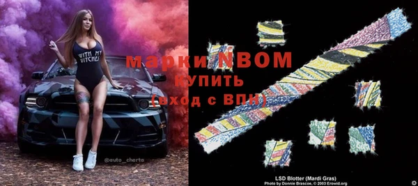 крисы Алзамай