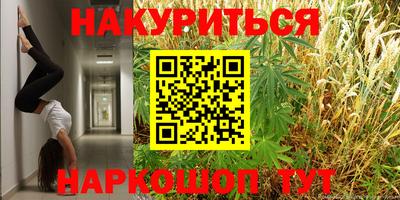 ПСИЛОЦИБИНОВЫЕ ГРИБЫ Канаш