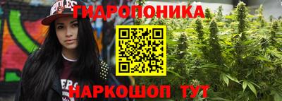 ПСИЛОЦИБИНОВЫЕ ГРИБЫ Канаш