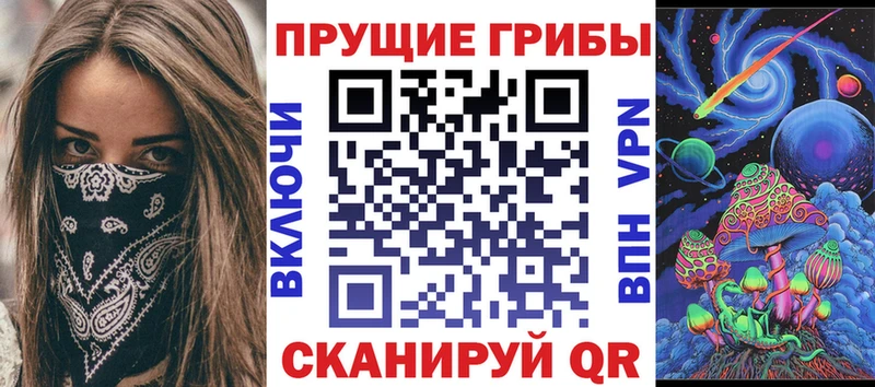 хочу наркоту  Старая Купавна  MEGA как войти  Псилоцибиновые грибы Psilocybe 