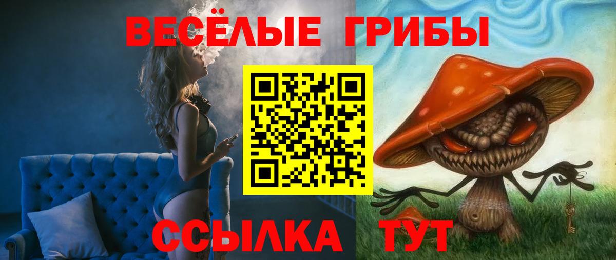 цена наркотик  Псилоцибиновые грибы Magic Shrooms  Вход с VPN  Старая Купавна 