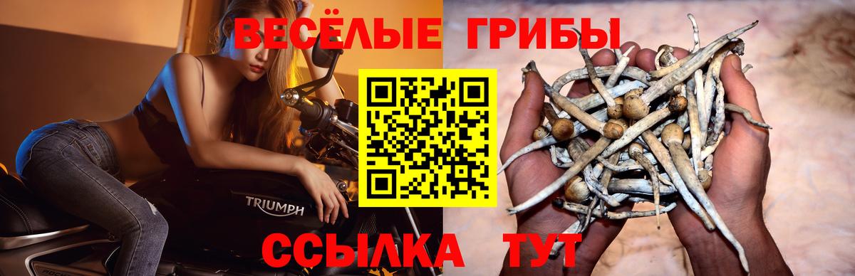Галлюциногенные грибы мицелий Старая Купавна